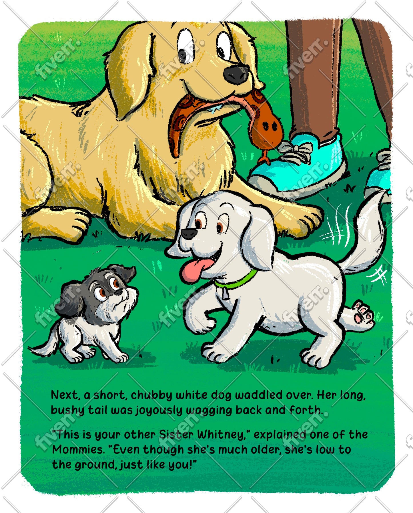 "Phoebe's New Beginning"