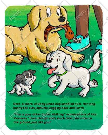 "Phoebe's New Beginning"